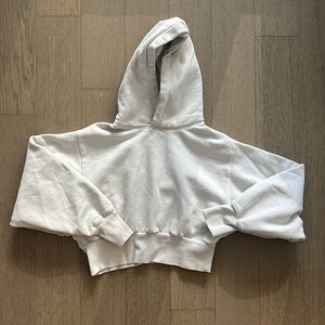 ARITZIA Tna Cozy Fleece Perfect Shrunken Hoodie Cropped S